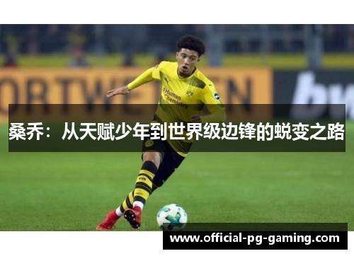 桑乔:从天赋少年到世界级边锋的蜕变之路 桑乔:从天赋少年到世界级边锋的蜕变之路