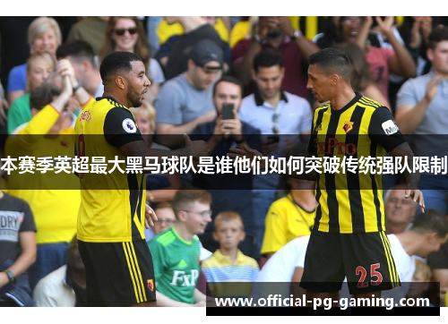 本赛季英超最大黑马球队是谁他们如何突破传统强队限制 本赛季英超最大黑马球队是谁他们如何突破传统强队限制