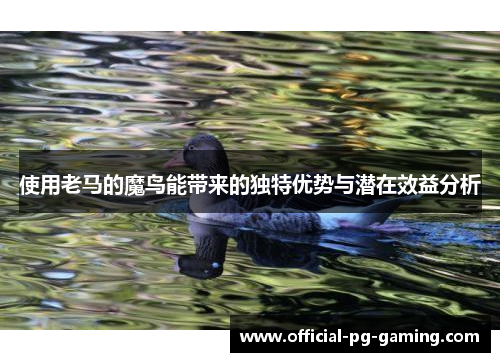 使用老马的魔鸟能带来的独特优势与潜在效益分析