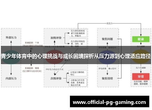 青少年体育中的心理挑战与成长困境探析从压力源到心理适应路径