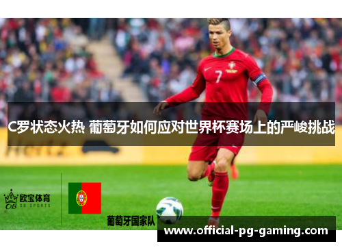 C罗状态火热 葡萄牙如何应对世界杯赛场上的严峻挑战