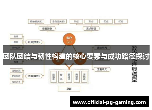 团队团结与韧性构建的核心要素与成功路径探讨